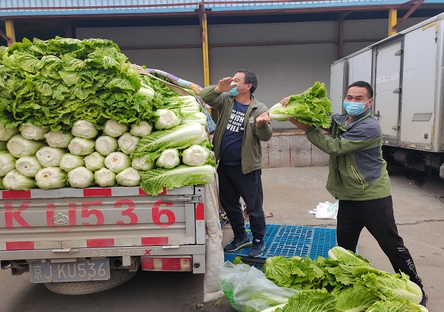 开云（中国）官方加大“冬储菜”调运，全力做好保供稳价